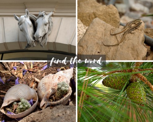 A small sample from my archive "Pairs" | by karafc