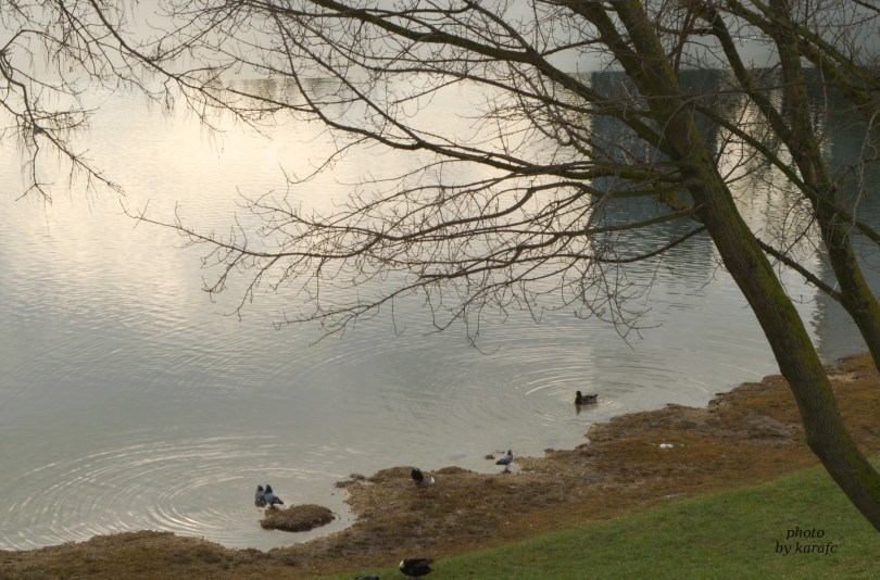 Winter in the lake Kuchajda in Bratislava, Slovakia