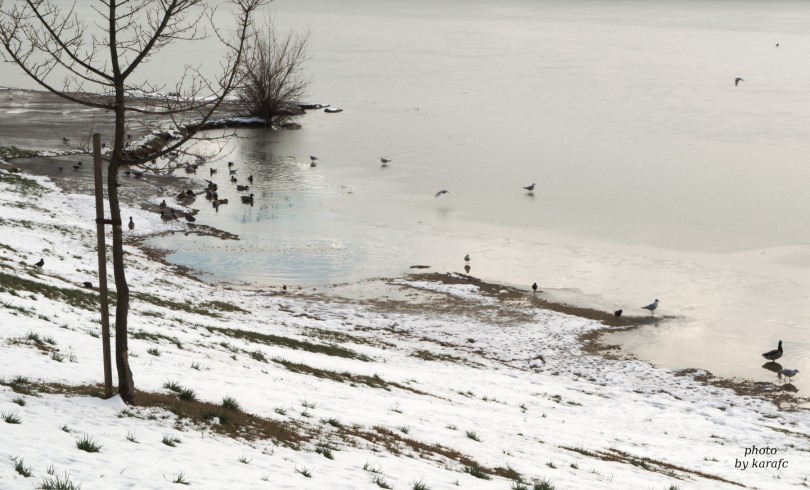 Winter in the lake Kuchajda in Bratislava, Slovakia