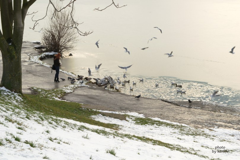 Winter in the lake Kuchajda in Bratislava, Slovakia
