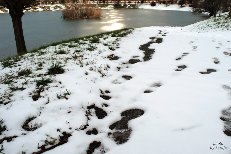 Winter in the lake Kuchajda in Bratislava, Slovakia