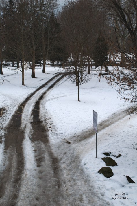 winter at Sad Janka Kráľa Park, Bratislava