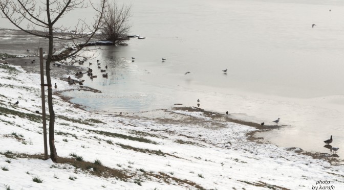 Winter in the lake Kuchajda in Bratislava, Slovakia