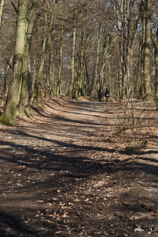 A walk at Bratislava Forest Park - Koliba