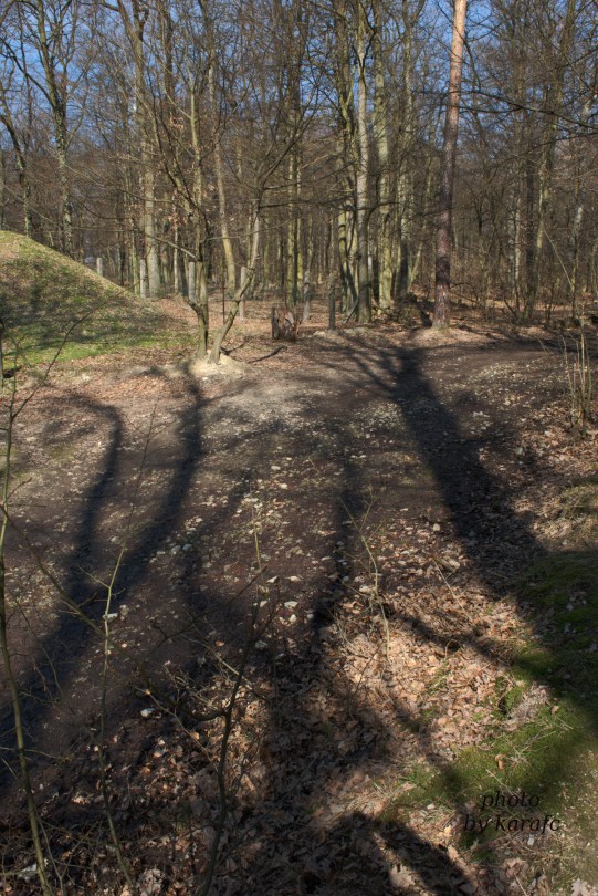 Bratislava Forest Park - Koliba - playground