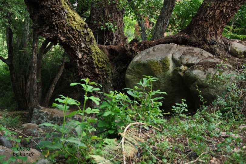 kakopetria_naturetrail_ monopati tis Vateris_Cyprus